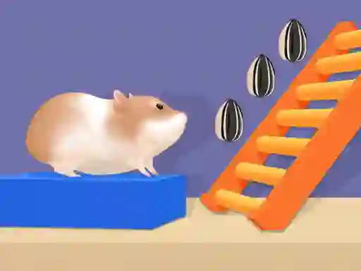 Spēle Hamster Stack Maze online