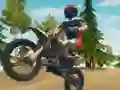 Spēle Dirt Bike Enduro Racing online