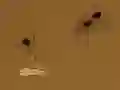 Spēle Save the crumb online