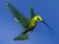 Spēle Hummingbird House Escape online