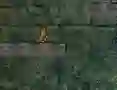Spēle Bunny Adventure online