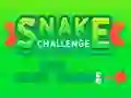 Spēle Snake Challenge online