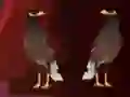 Spēle Peikin Duck Escape online