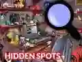 Spēle Hidden Spots In The Room online