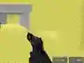 Spēle Pixel Combat Multiplayer online