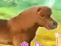 Spēle My Dear Pony online