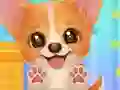 Spēle Adopt Your Pet Puppy online