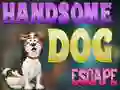 Spēle Handsome Dog Escape online