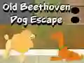 Spēle Old Beethoven Dog Escape online