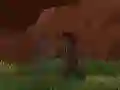 Spēle Phase Ninja online