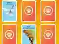 Spēle National Geographic Kids Matching online