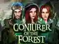 Spēle Conjurer Of The Forest online