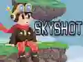 Spēle Skyshot online