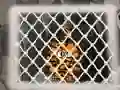 Spēle Tiger Escape 1 online