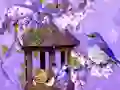 Spēle Wonderful Humming Bird Land Escape online