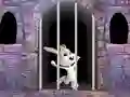 Spēle Victory Rabbit Escape online