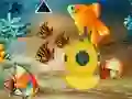 Spēle Save The Mother Fish online