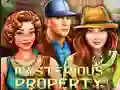 Spēle Mysterious Property online