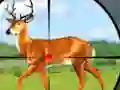 Spēle Wild Hunt Hunting Games 3D online