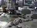 Spēle Friends Rescue From Skeleton online