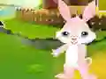 Spēle Find The Buddy Rabbit online