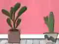 Spēle Find Houseplant online
