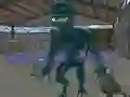 Spēle Emergent Galaxy online