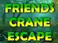 Spēle Friends Crane Escape online