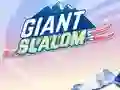 Spēle Giant Slalom online