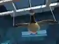 Spēle Goose Museum online