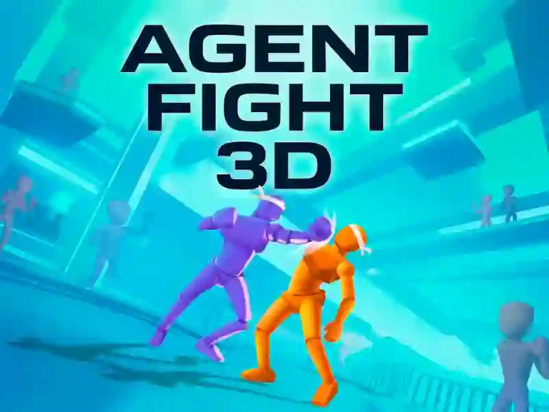 Spēle Agent Fight 3D online