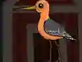 Spēle Cute Godwit Escape online