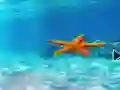 Spēle Escape From Underwater Starfish online