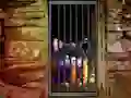Spēle Hidden Cat Escape online
