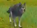Spēle The Wolf: Wild Animal Simulator online