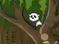 Spēle Panda Jungle Escape online