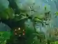 Spēle Innocent Sparrow Couple Escape online