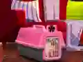 Spēle Escape The Small Pug online