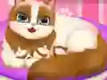 Spēle Cute Kitty Pregnant online