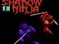 Spēle Shadow of the Ninja online