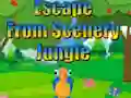 Spēle Escape from Scenery Jungle online