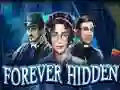 Spēle Forever Hidden online
