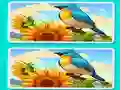 Spēle Spot the Difference The Garden online