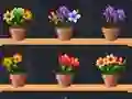 Spēle Good Flower Master online