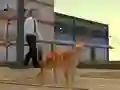 Spēle Cat City Simulator online
