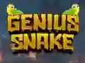 Spēle Genius Snake online