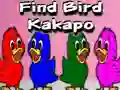 Spēle Find Bird Kakapo online