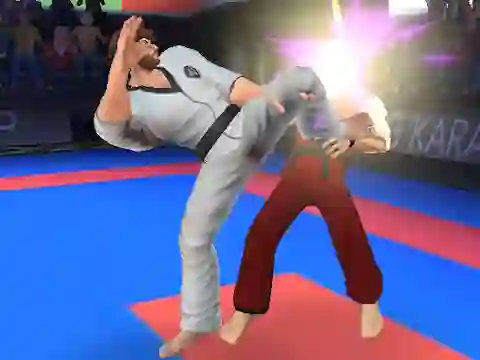 Spēle Karate Fighter online
