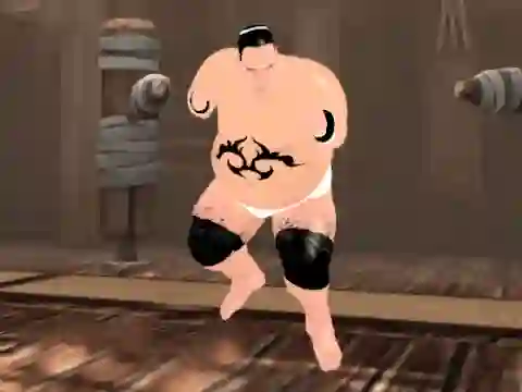 Spēle Sumo Fury online