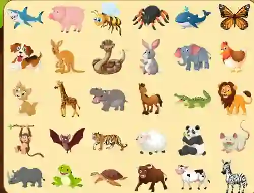Spēle Discover Animals online